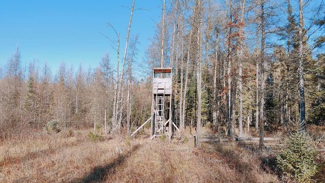 10478 Leander Road, Angora, MN 55703