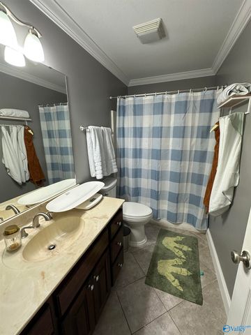 115 St Thomas Drive, Rainbow City, AL 35906
