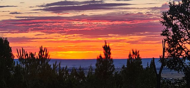 32 Cedar Hill Lane, Moriarty, NM 87035