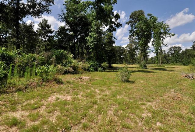26150 Grand Pines Road, Magnolia, TX 77355