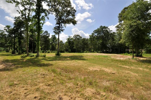 26150 Grand Pines Road, Magnolia, TX 77355