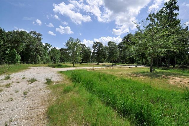 26150 Grand Pines Road, Magnolia, TX 77355