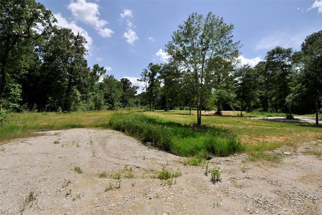 26150 Grand Pines Road, Magnolia, TX 77355