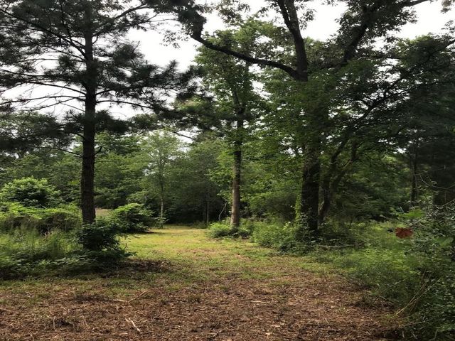 26150 Grand Pines Road, Magnolia, TX 77355