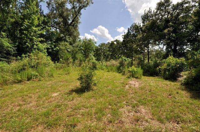26150 Grand Pines Road, Magnolia, TX 77355