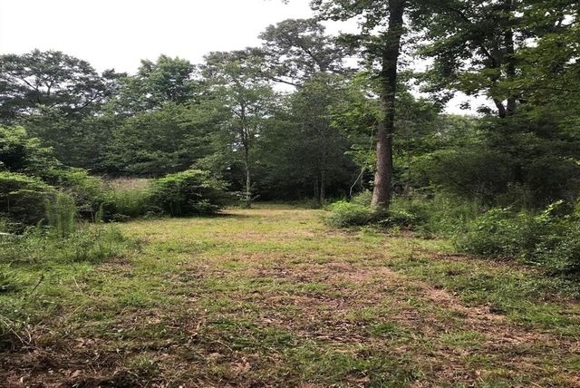 26150 Grand Pines Road, Magnolia, TX 77355
