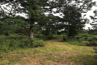 26150 Grand Pines Road, Magnolia, TX 77355