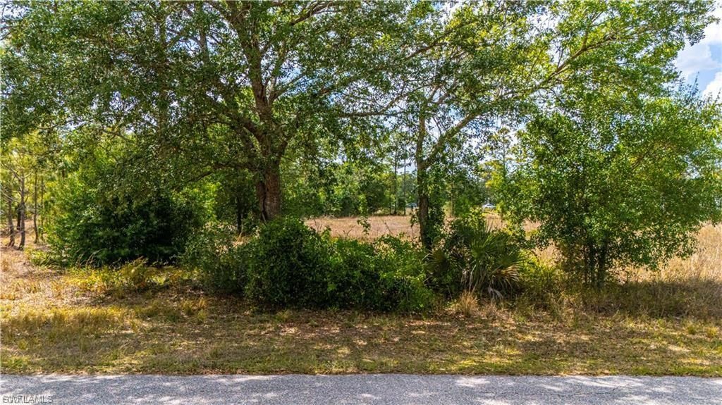 1407 Robert AVE, LEHIGH ACRES, FL 33972 — photo 4