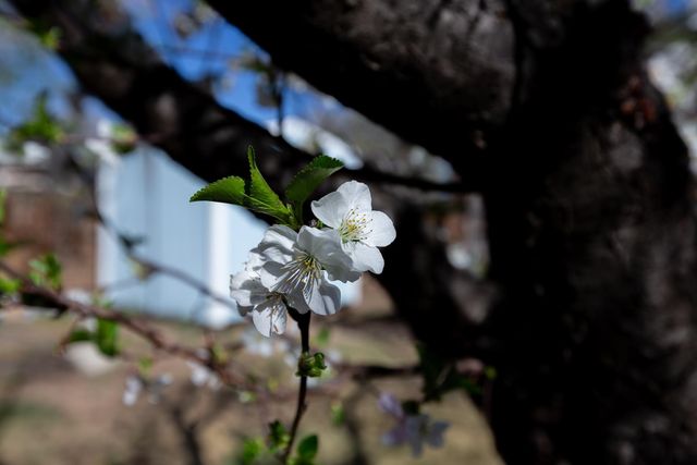 309 W Highland Drive, Grand Junction, CO 81503