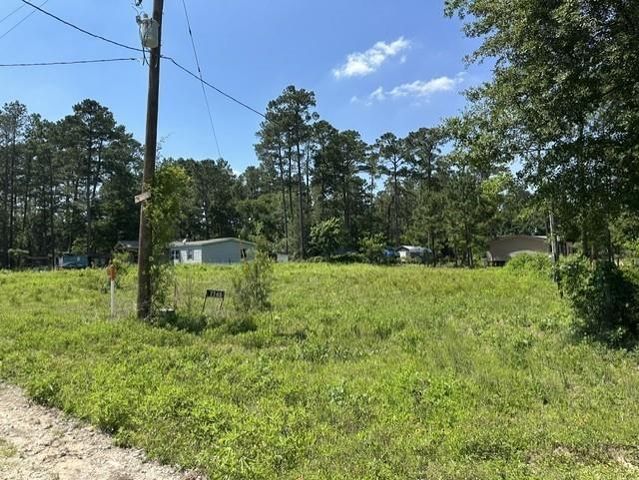 7743 Redbud Lane, Plantersville, TX 77363