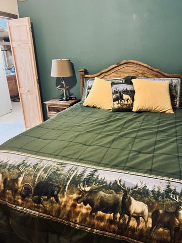 301 Crest Drive, Cimarron, CO 81220