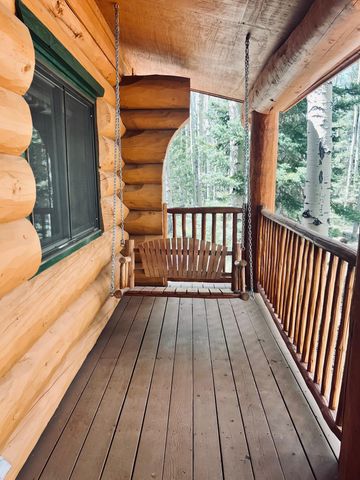 301 Crest Drive, Cimarron, CO 81220