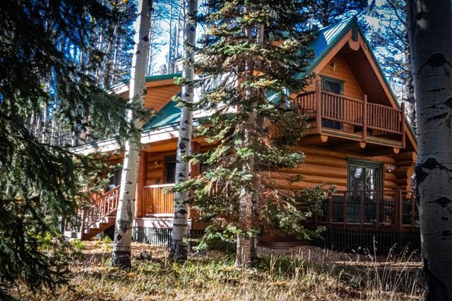 301 Crest Drive, Cimarron, CO 81220
