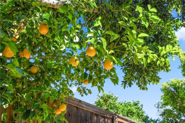 32097 Cala Gerona, Temecula, CA 92592