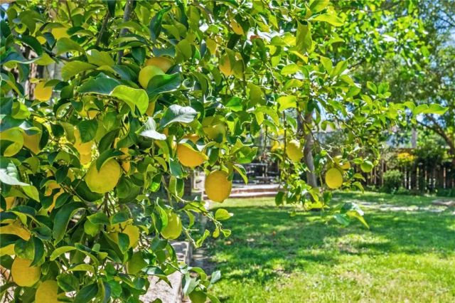 32097 Cala Gerona, Temecula, CA 92592