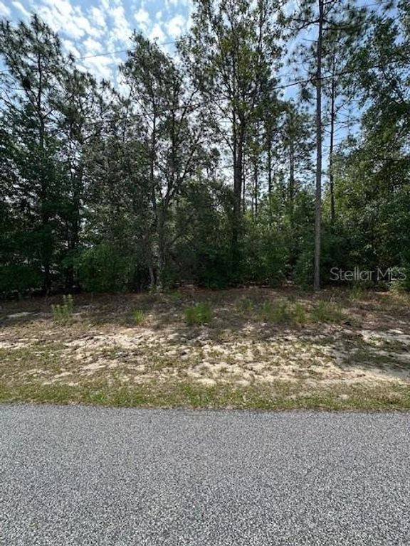 920 W RUM PLACE, Dunnellon, FL 34434