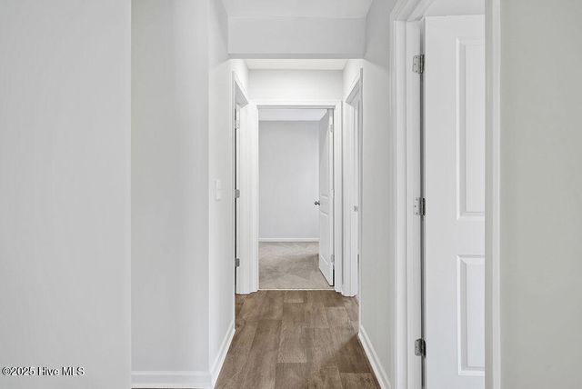 2226 Sweetspire Street Unit 2009, Leland, NC 28451