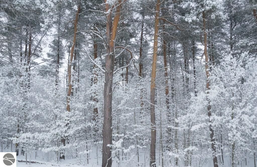 Image 10 of property listing at 4181 Maple Hill Road, Grawn, MI 49637