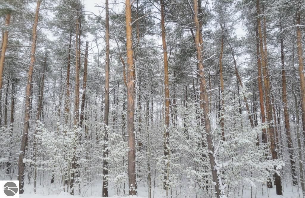 Image 12 of property listing at 4181 Maple Hill Road, Grawn, MI 49637