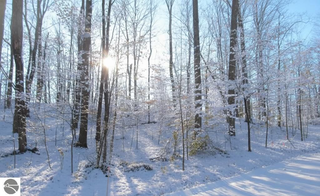 Image 2 of property listing at 4181 Maple Hill Road, Grawn, MI 49637