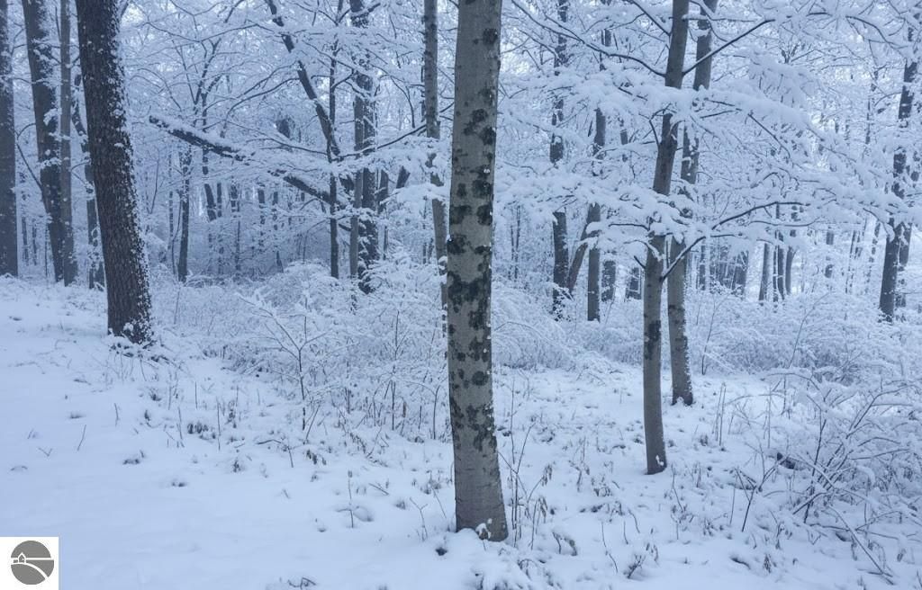 Image 3 of property listing at 4181 Maple Hill Road, Grawn, MI 49637