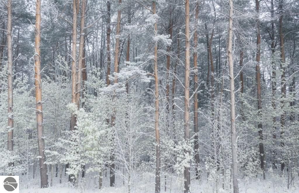 Image 5 of property listing at 4181 Maple Hill Road, Grawn, MI 49637