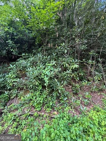 0 CREST Lane LOT 5, Rabun Gap, GA 30568