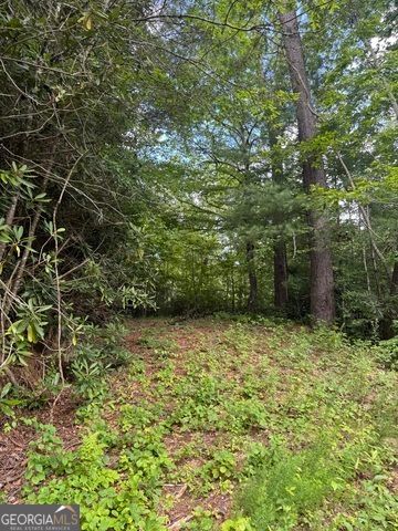 0 CREST Lane LOT 5, Rabun Gap, GA 30568