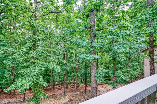 10 Alarcon Lane, Hot Springs Village, AR 71909