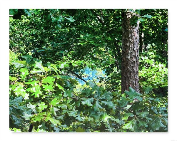 10 Alarcon Lane, Hot Springs Village, AR 71909
