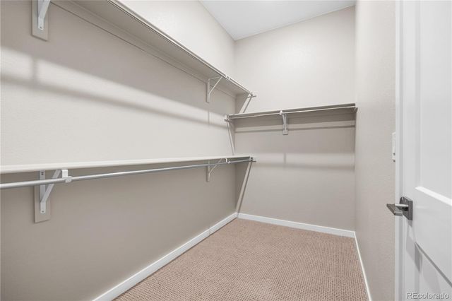 11146 Stonepath Street, Littleton, CO 80125