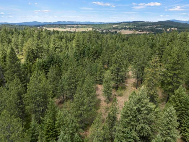 XX1 E Dusty Ln, Chattaroy, WA 99003