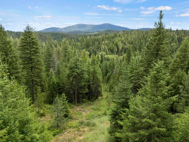XX1 E Dusty Ln, Chattaroy, WA 99003