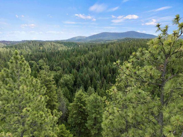 XX1 E Dusty Ln, Chattaroy, WA 99003