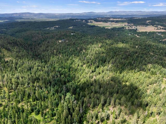 XX1 E Dusty Ln, Chattaroy, WA 99003