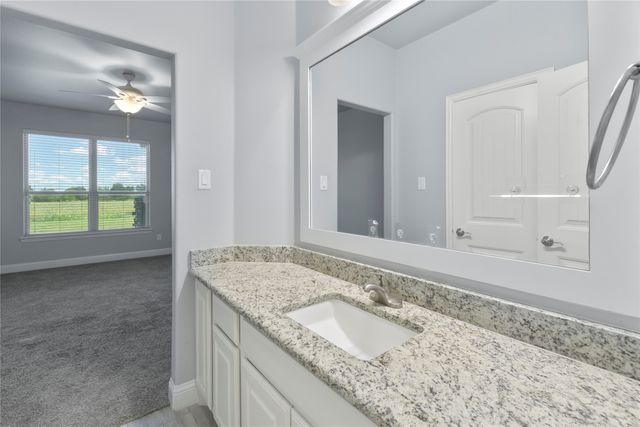 12198 Briargove Lane, Talty, TX 75126