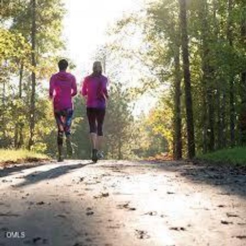 105 Carving Tree Court, Holly Springs, NC 27540