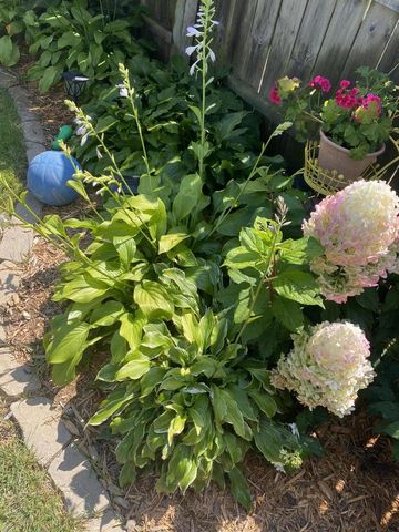 4924 N Larkin STREET, Whitefish Bay, WI 53217