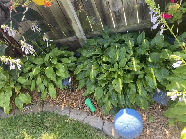 4924 N Larkin STREET, Whitefish Bay, WI 53217