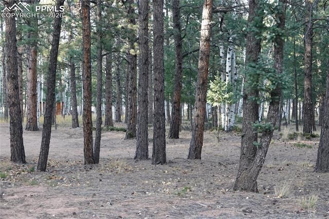 1360 Windflower Lane, Woodland Park, CO 80863