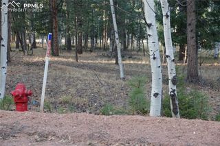 1360 Windflower Lane, Woodland Park, CO 80863