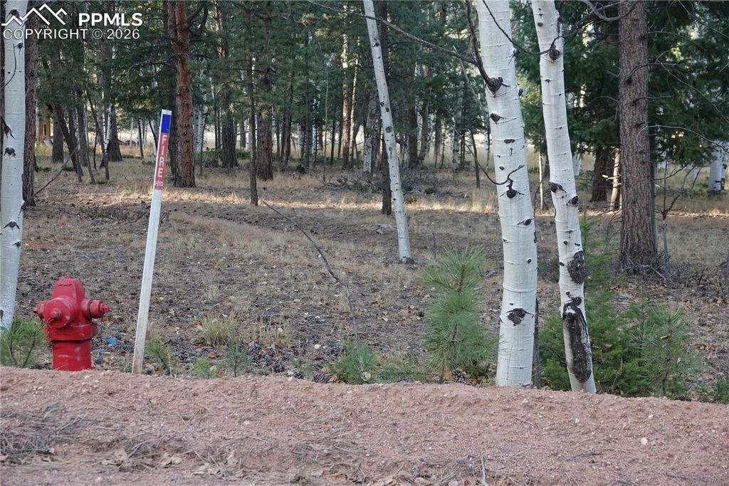 1360 Windflower Lane, Woodland Park, CO 80863