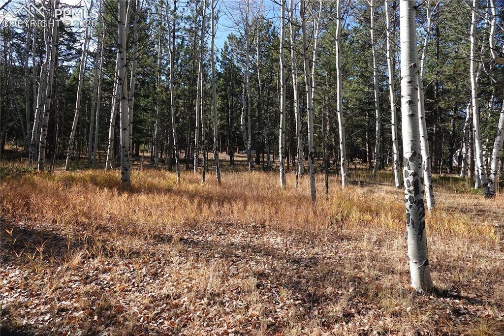 1360 Windflower Lane, Woodland Park, CO 80863 — photo 2
