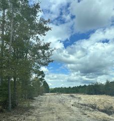 3369 Highway 430, Nichols, SC 29581