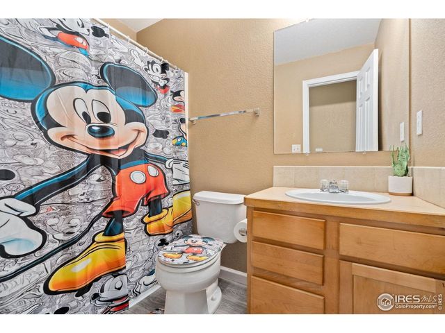 781 S Stage Coach Dr, Milliken, CO 80543