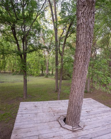 1451 Meandro Ria Lane, Fairview, TX 75069