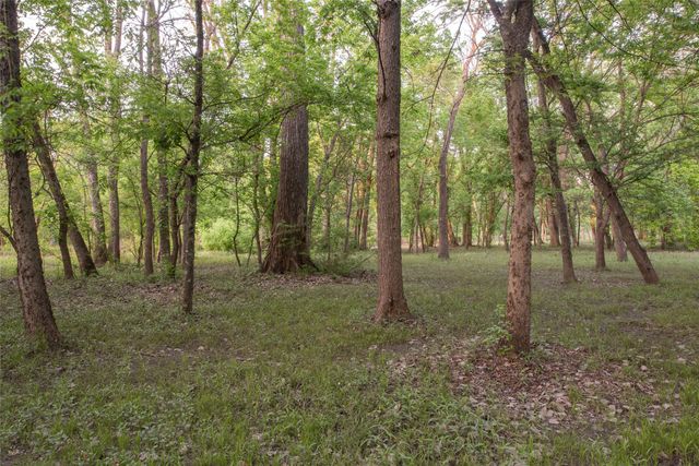 1451 Meandro Ria Lane, Fairview, TX 75069