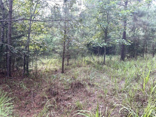 00 Cross Creek Drive 277, Rutherfordton, NC 28139