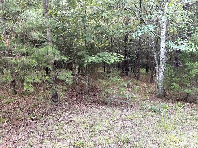 00 Cross Creek Drive 277, Rutherfordton, NC 28139