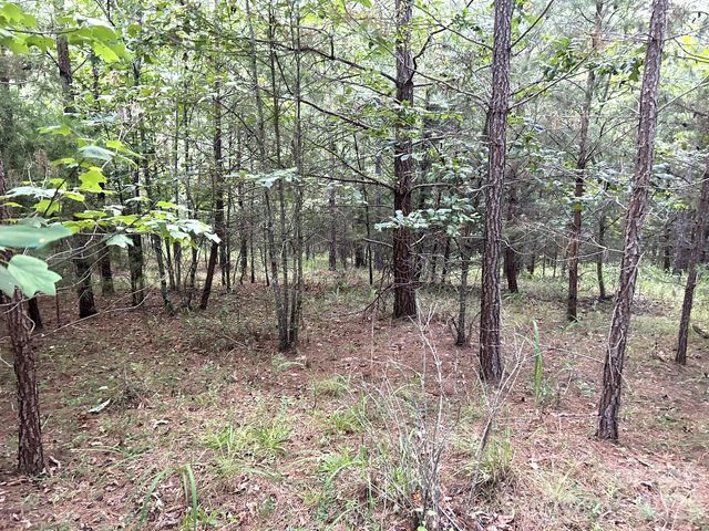 00 Cross Creek Drive 277, Rutherfordton, NC 28139